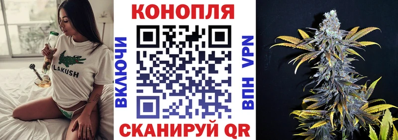 Купить закладки  Сунжа  Шишки марихуана THC 21% 